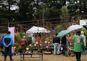 第70回　西公園　春の大植木市開催