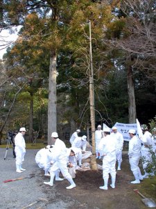 伊勢神宮献納行事 献木・内宮