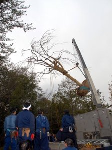 伊勢神宮献納行事 安全祈願、植付け作業