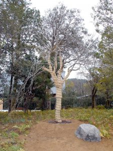 伊勢神宮献納行事 献木・外宮