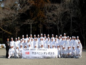 伊勢神宮献納行事 宮城県造園建設業協会　青年部