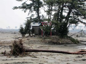 被害状況及び被災地での支援活動