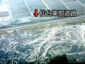 被害状況及び被災地での支援活動