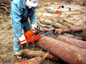 被害状況及び被災地での支援活動