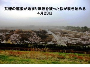 被害状況及び被災地での支援活動