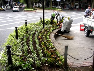 被害状況及び被災地での支援活動