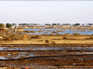 被害状況及び被災地での支援活動