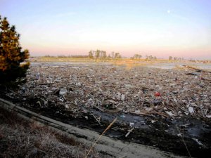 被害状況及び被災地での支援活動