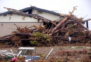 被害状況及び被災地での支援活動