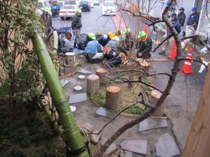 若林区東通仮設住宅 への支援活動