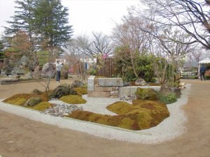 第71回西公園　春の大植木市