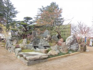 第71回西公園　春の大植木市