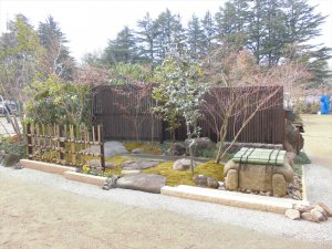 第71回西公園　春の大植木市