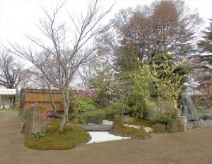 第71回西公園　春の大植木市