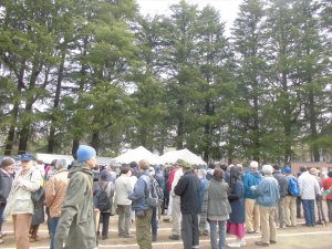 第71回西公園　春の大植木市