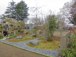 第71回西公園　春の大植木市