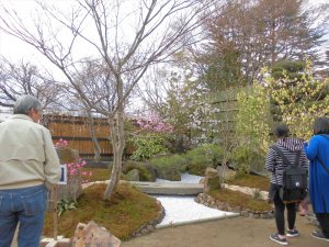 第71回西公園　春の大植木市