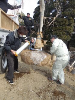 平成31年2月16日_献木、御神輿、トラック安全祈願と積込