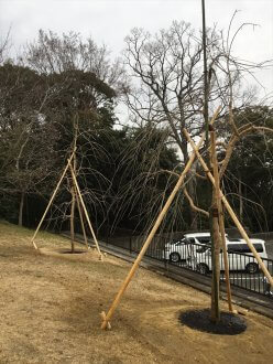 第43回伊勢神宮奉納行事・造園感謝祭